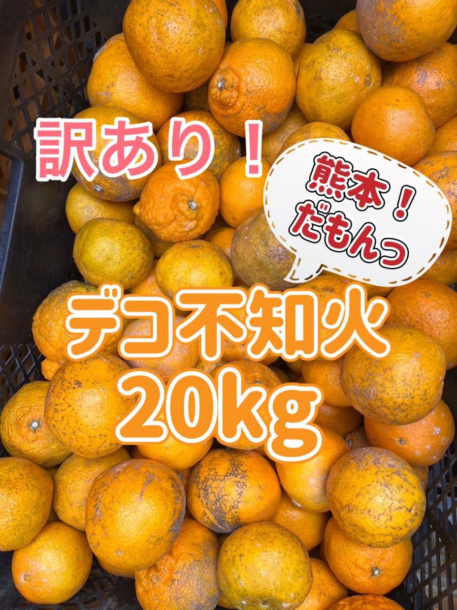 激安 熊本県産 訳あり 不知火 デコポン家庭用20kg(送料無料 激安 熊本県産 訳あり 不知火 デコポン家庭用20kg(送料無料