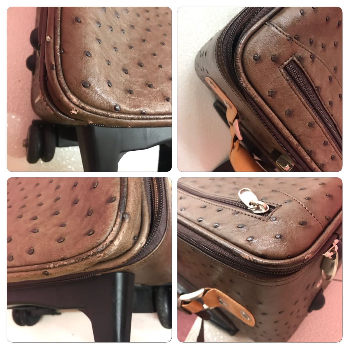  suitcase carry bag Ostrich Carry case 