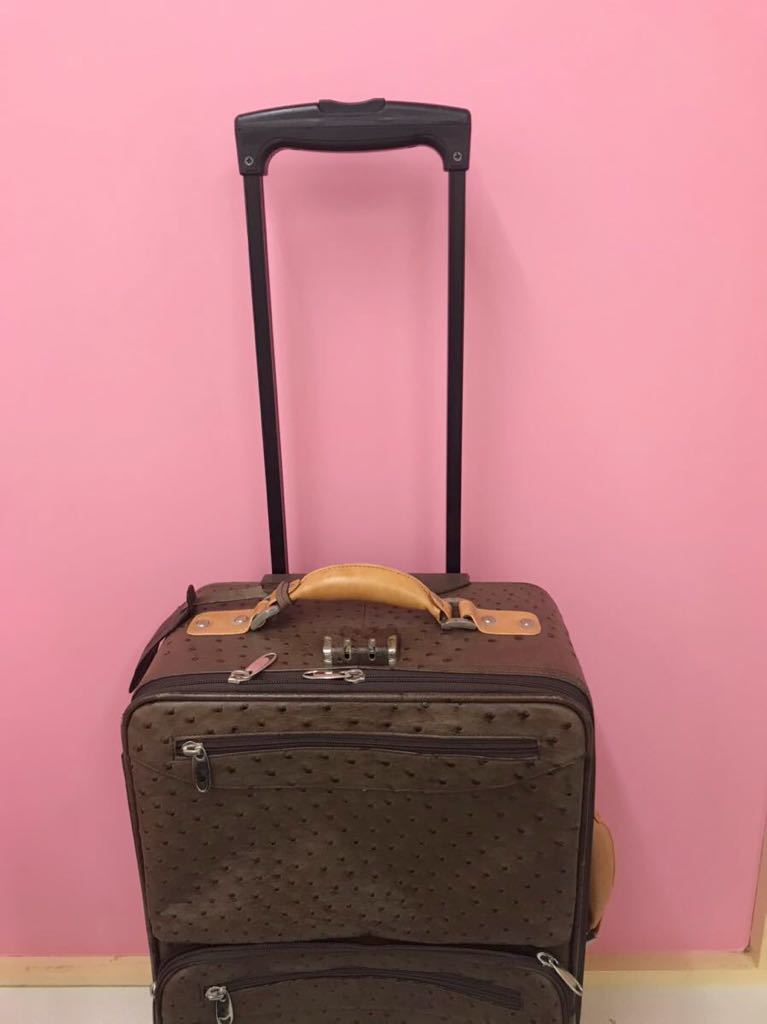  suitcase carry bag Ostrich Carry case 