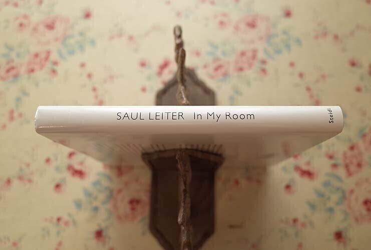 47385/ソール・ライター 写真集 Saul Leiter In My Room 2018年 47385/ソール・ライター 写真集 Saul Leiter In My Room 2018年