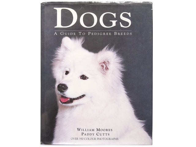 洋書◆犬の写真集 本