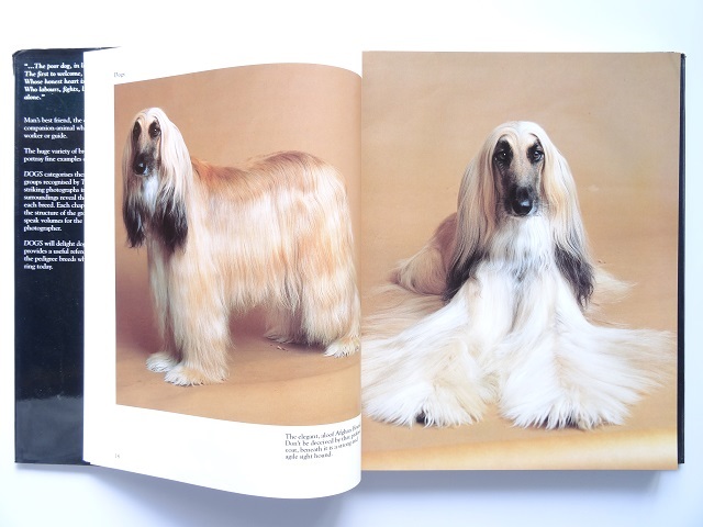  foreign book * dog. photoalbum book