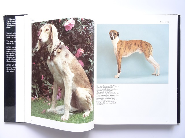  foreign book * dog. photoalbum book