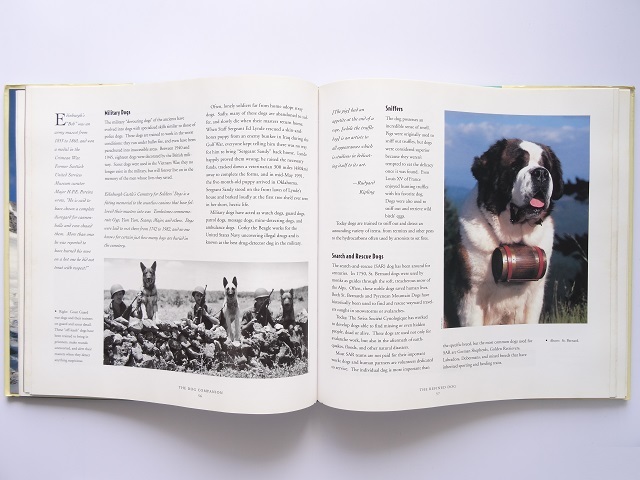  foreign book * dog. photoalbum book@ animal dog 