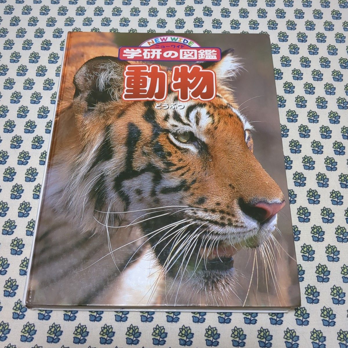 動物図鑑 ニューワイド学研の図鑑|Yahoo!フリマ(旧PayPayフリマ) 動物図鑑 ニューワイド学研の図鑑|Yahoo!フリマ(旧PayPayフリマ)