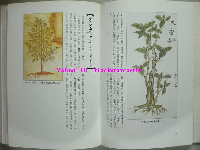 # higashi west raw medicine .# god agriculture book@.., Greece book@.,. thing magazine,.book@#