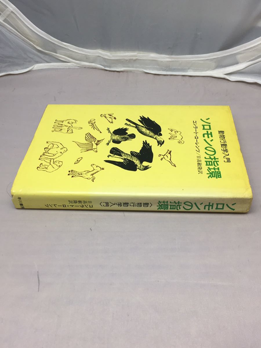 ソロモンの指環ー動物行動学入門　中古本_画像4