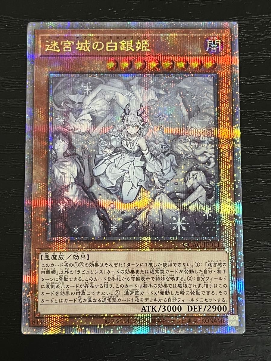 迷宮城の白銀姫 絵違い(レディ・オブ・ラビュリンス)25th 迷宮城の白銀姫 絵違い(レディ・オブ・ラビュリンス)25th