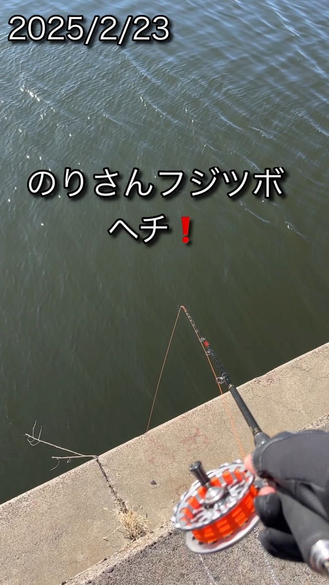 のりさんフジツボ ヘチ! 5個 強靭フライフック付き