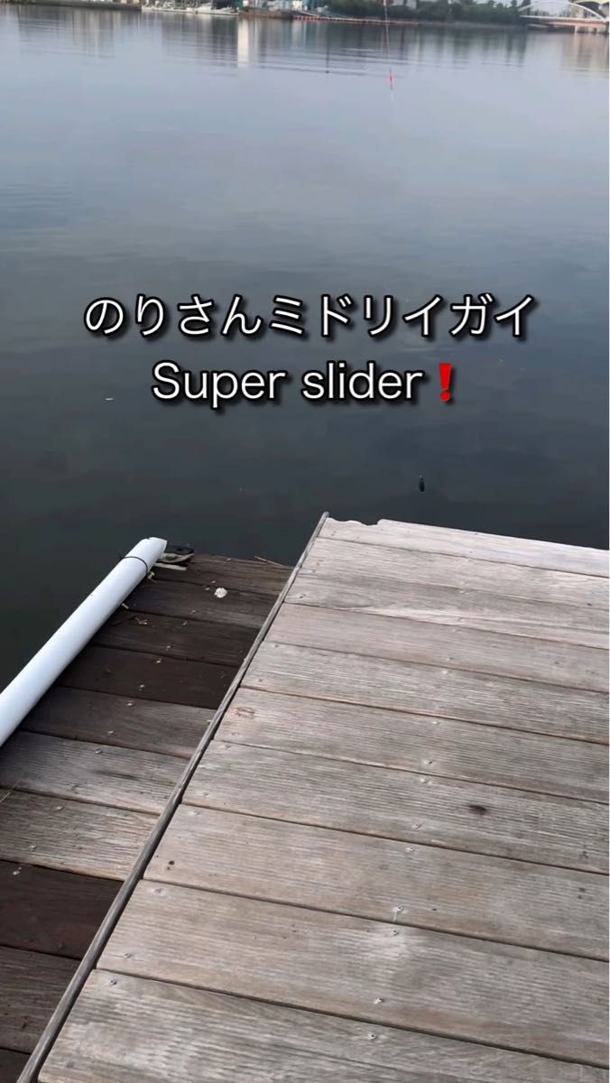 のりさんミドリイガイ 5個 Super slider! 強靭フライフック付き