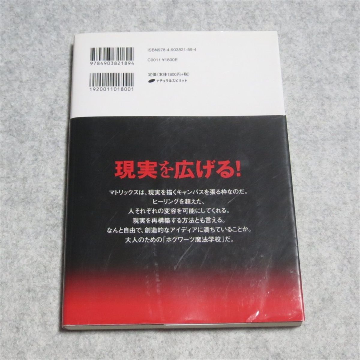 マトリックス・エナジェティクス 量子論的手法による変容のテクニック【書込みあり/ナチュラルスピリット/リチャードバートレット】_画像2