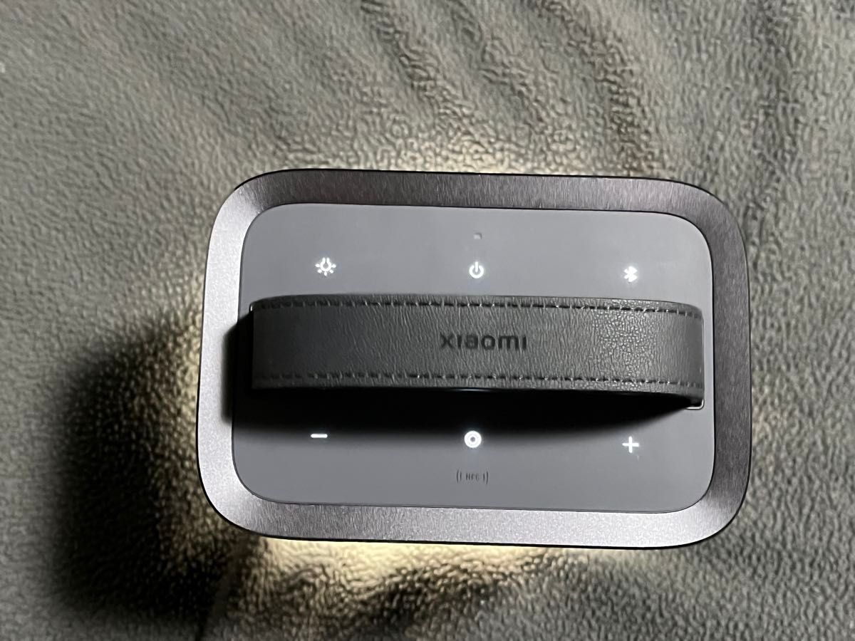 Xiaomi アウドドア Bluetooth スピーカー 40W ハーマン AudioEFX Xiaomi アウドドア Bluetooth スピーカー 40W ハーマン AudioEFX