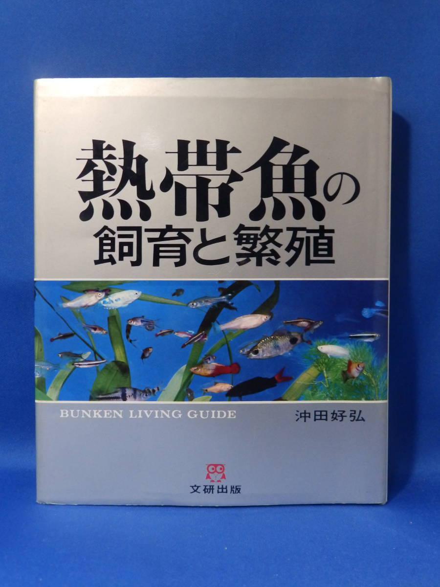 中古 熱帯魚の飼育と繁殖 沖田好弘 文研出版_画像1