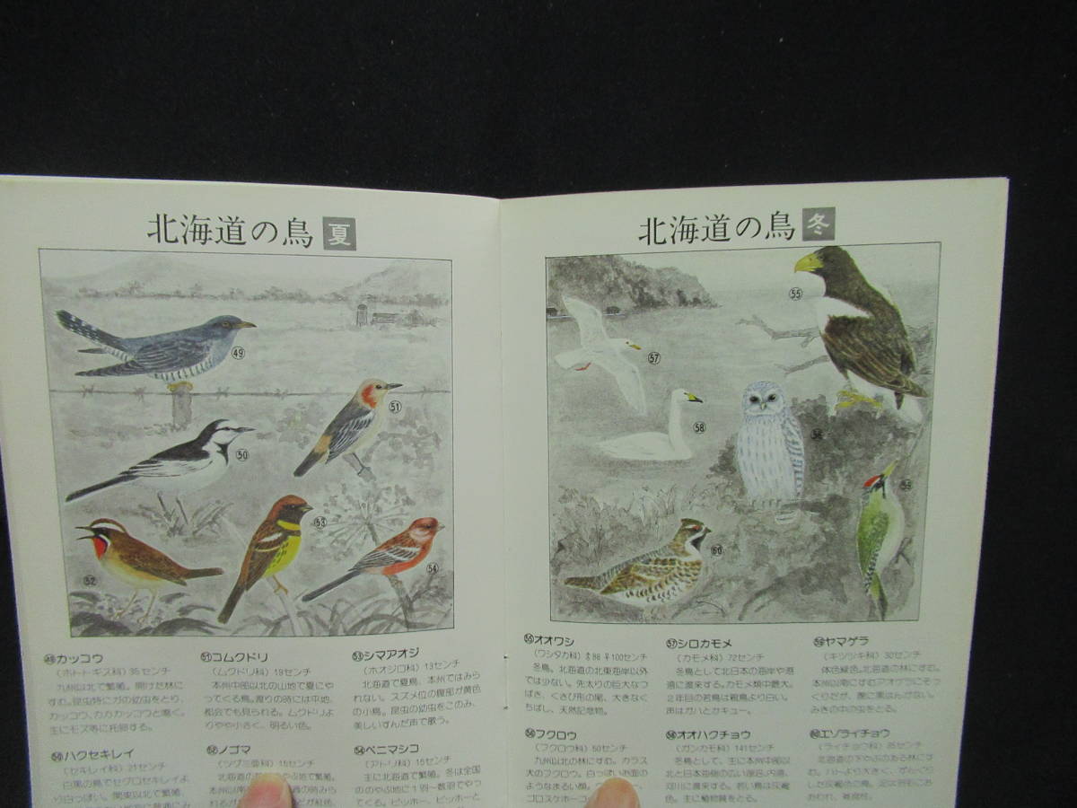  bird-watching introduction japanese ... what bird .TOYOTA Toyota Motor sale Showa era 56 year 32 page A-14