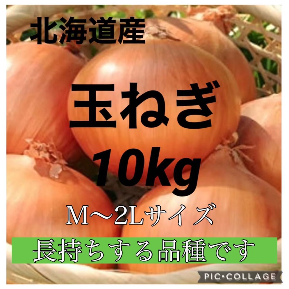 北海道産玉ねぎ10kg