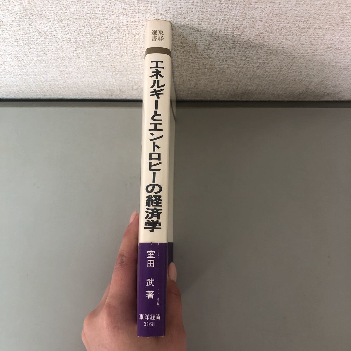 ●稀少/帯付き●エネルギーとエントロピーの経済学-石油文明からの飛躍-室田武 昭和54年 東洋経済新報社/エネルギー/原子力発電★1420 2002_画像10