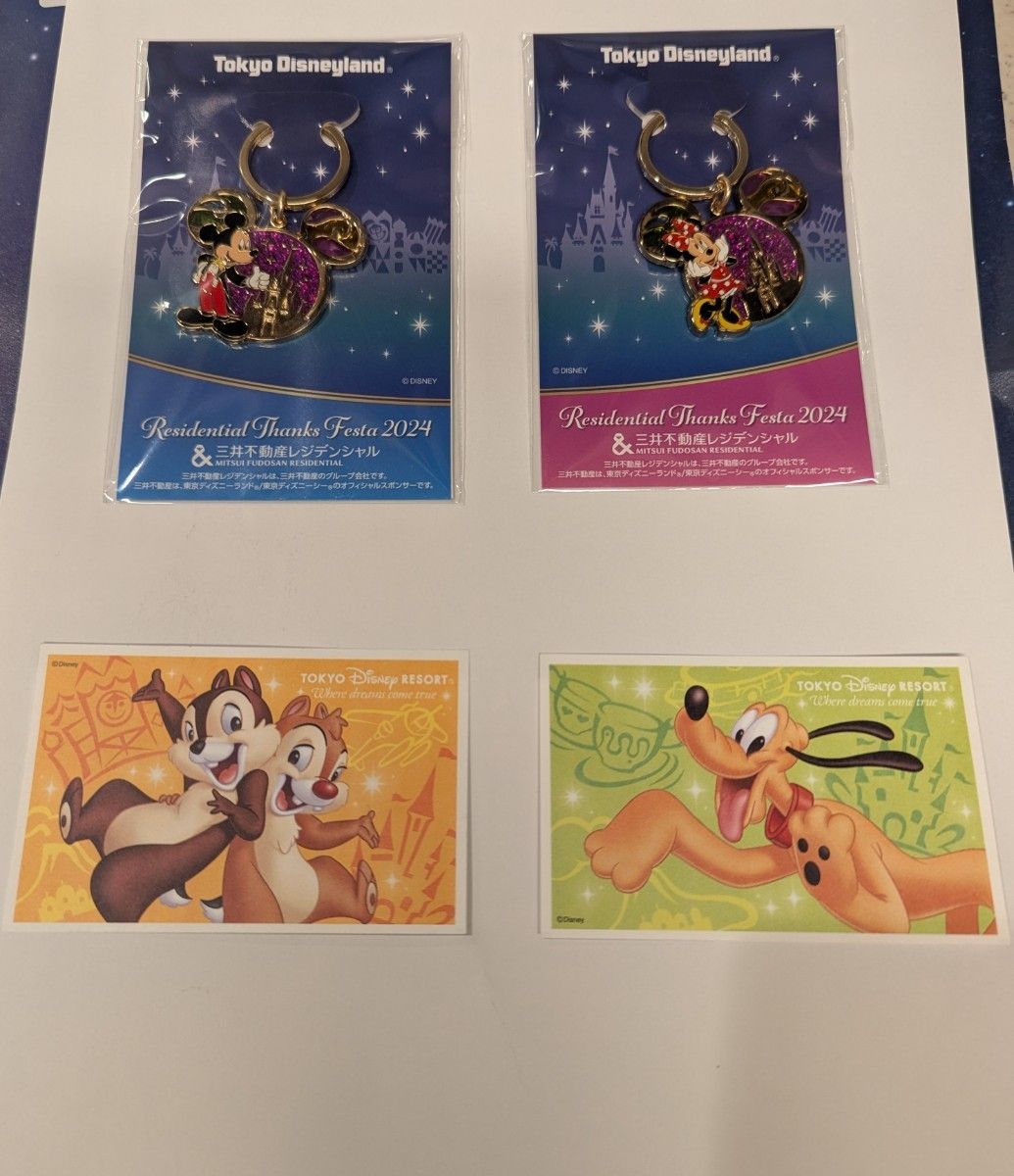 東京ディズニーランド 貸切チケット2枚 【2025/2/21】三井不動産 東京ディズニーランド 貸切チケット2枚 【2025/2/21】三井不動産
