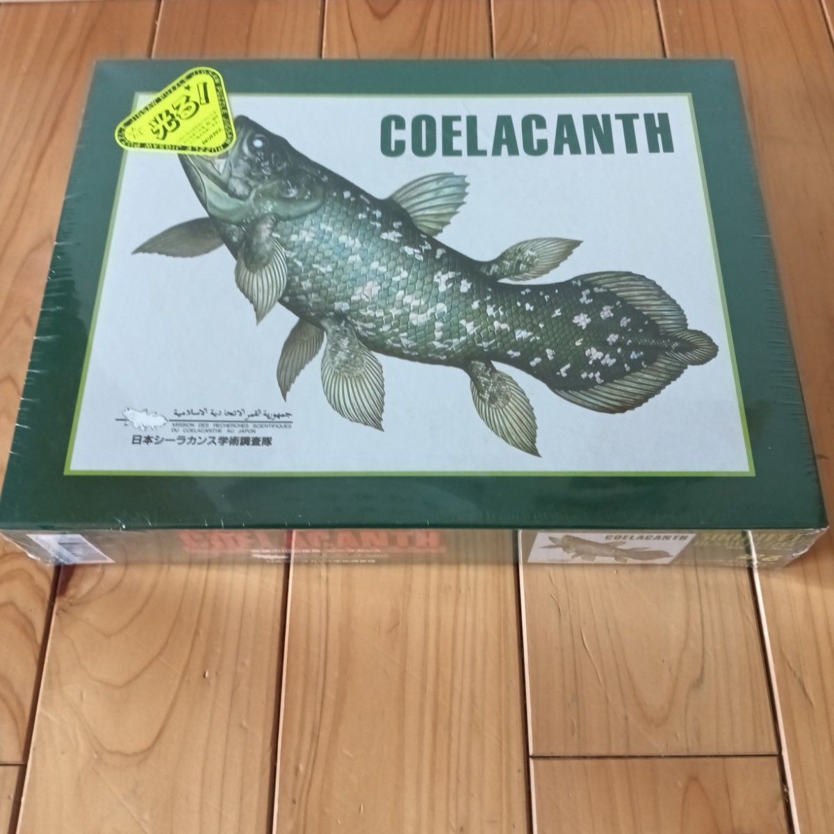 【希望者のみラッピング無料】 未開封品 シーラカンス500ピースジグソーパズル COELACANTH ジグソーパズル