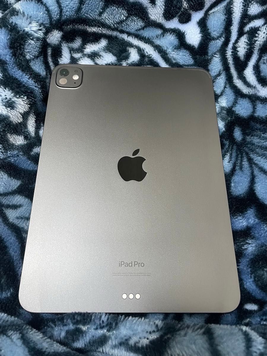 11インチ iPad Pro(M4)11型 Wi-Fiモデル 256GB 標準ガラス搭載 スペースブラック 11インチ iPad Pro(M4)11型 Wi-Fiモデル 256GB 標準ガラス搭載 スペースブラック