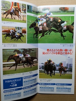 Yahoo!オークション - 競馬 JRA レープロ961116東京 アル共 Yahoo!オークション - 競馬 JRA レープロ961116東京 アル共