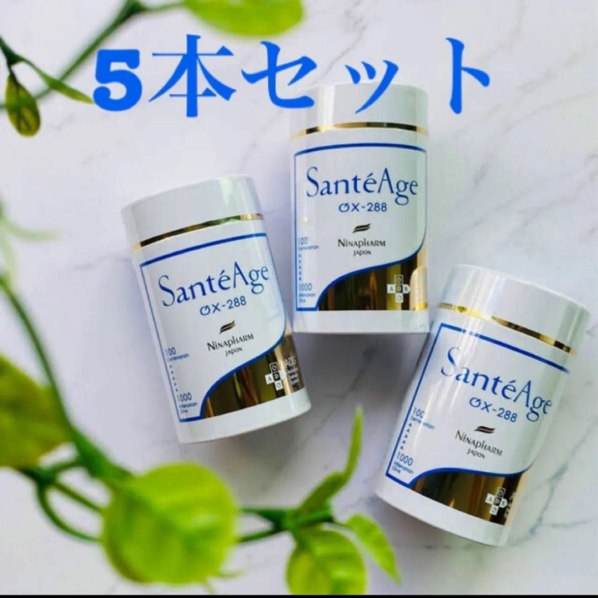 ニナファーム サンテアージュ 5本セット