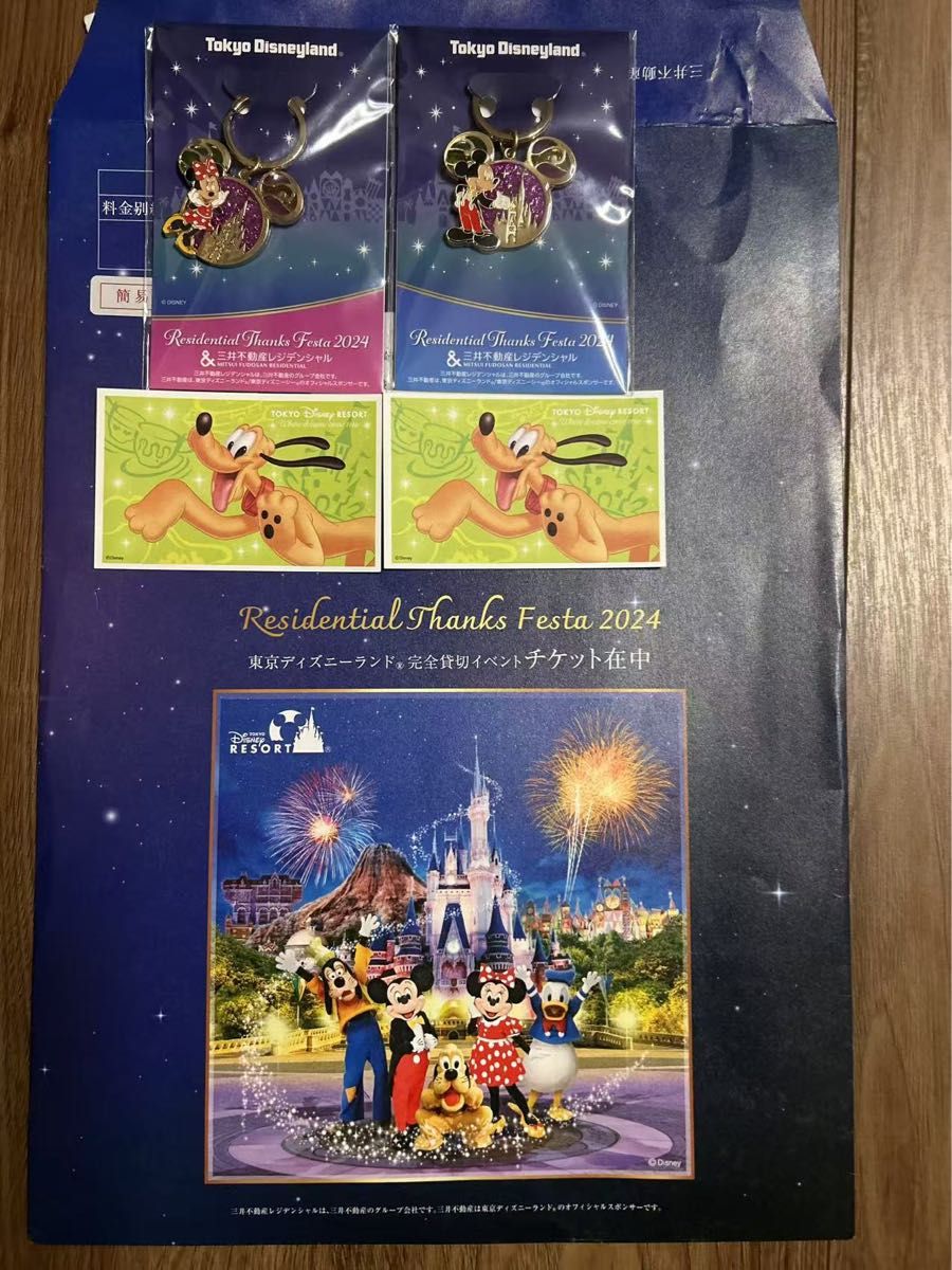 2025/2/21東京ディズニーランド 貸切 チケット 三井不動産 2025/2/21東京ディズニーランド 貸切 チケット 三井不動産