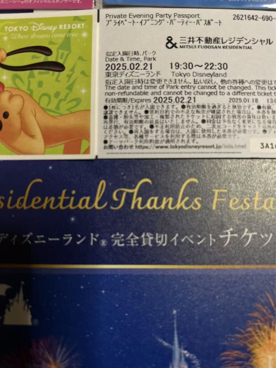 2025/2/21東京ディズニーランド 貸切 チケット 三井不動産 2025/2/21東京ディズニーランド 貸切 チケット 三井不動産