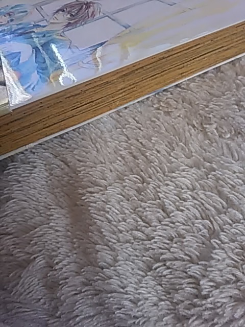 送料込み 都筑せつり 帯付き カナリアチャイルド 初版 中古 送料込み 都筑せつり 帯付き カナリアチャイルド 初版 中古