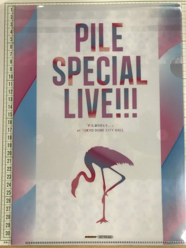 パイル　Pile　SPECIAL LIVE!!!「P.S.ありがとう...」 at TOKYO DOME CITY HALL　ゲーマーズ　非売品　クリアファイル (5219)_画像2
