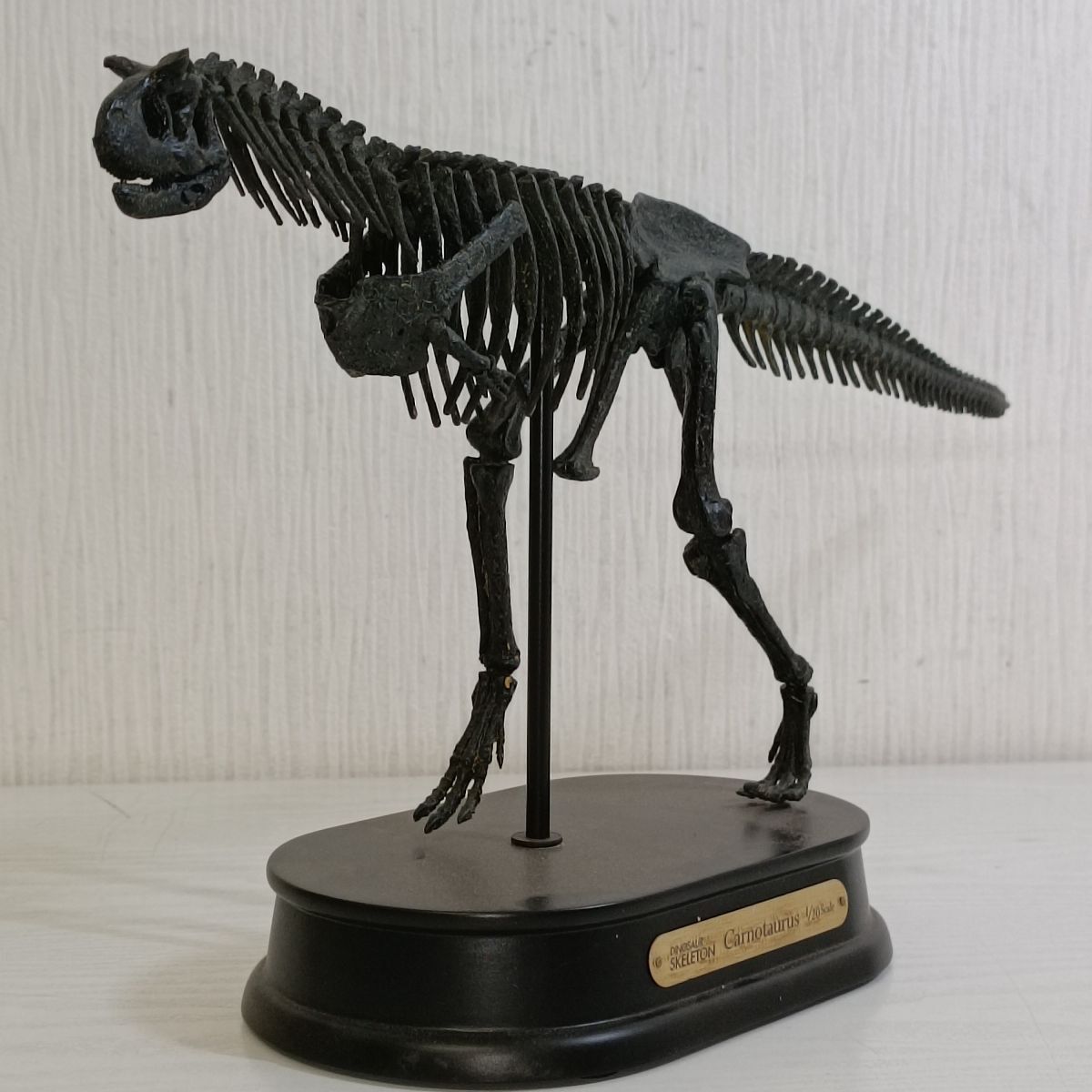 B499【140】1円~ FAVORITE COLLECTION Skeleton Model B499【140】1円~ FAVORITE COLLECTION Skeleton Model