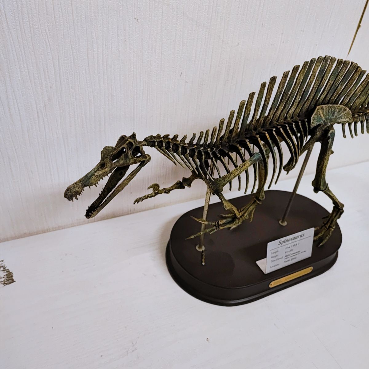 B293【140】1円~ favorite フェバリット Dinosaur skeleton B293【140】1円~ favorite フェバリット Dinosaur skeleton