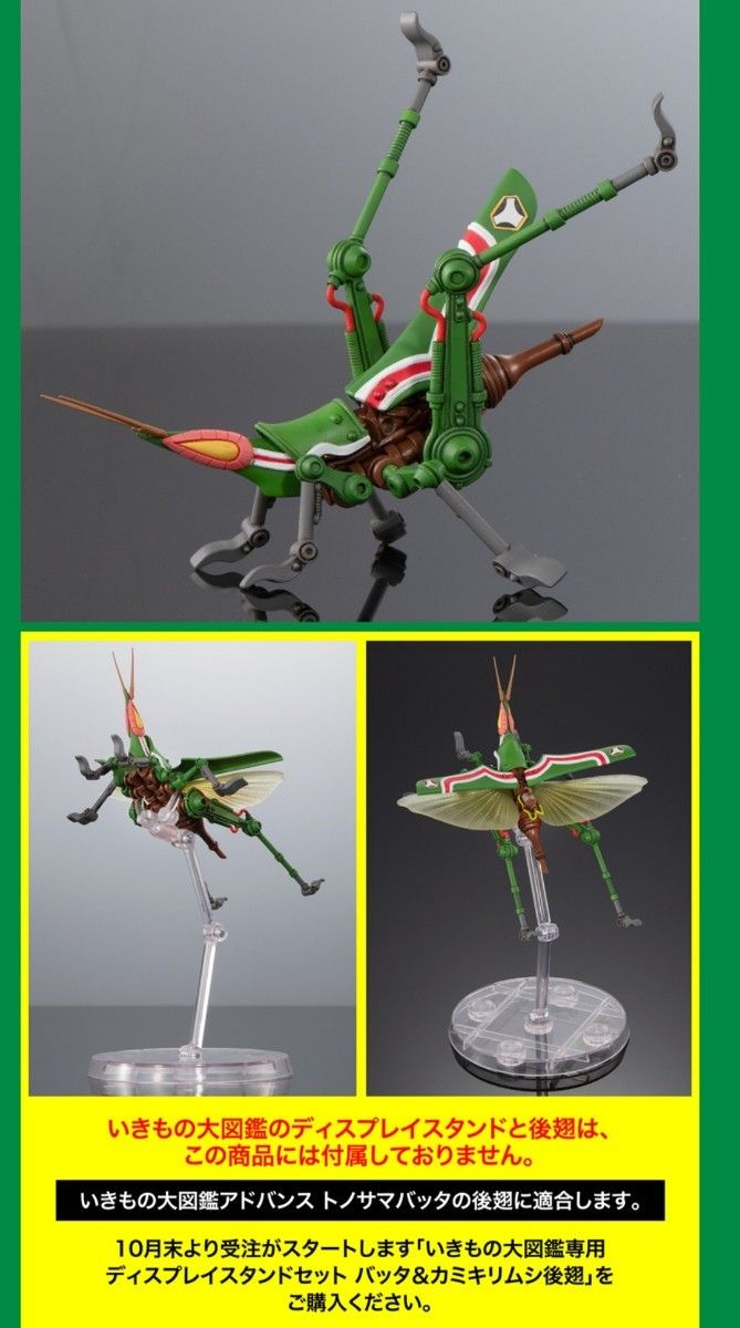 タイムドタバッタン対応【バッタ&カミキリムシ後翅 タイムドタバッタン対応【バッタ&カミキリムシ後翅