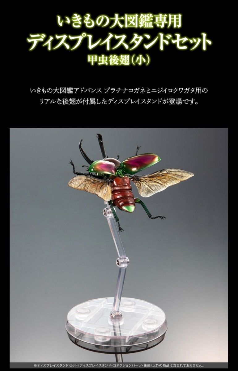 甲虫後翅(小)2個セット】ディスプレイスタンドセット いきもの大 甲虫後翅(小)2個セット】ディスプレイスタンドセット いきもの大