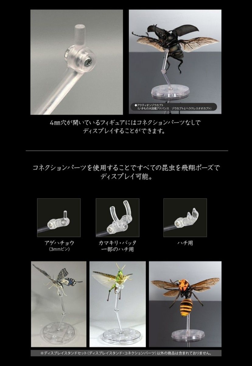 甲虫後翅(小)】ディスプレイスタンドセット いきもの大図鑑専用 甲虫後翅(小)】ディスプレイスタンドセット いきもの大図鑑専用