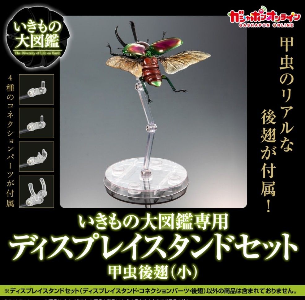 甲虫後翅(小)】ディスプレイスタンドセット いきもの大図鑑専用 甲虫後翅(小)】ディスプレイスタンドセット いきもの大図鑑専用