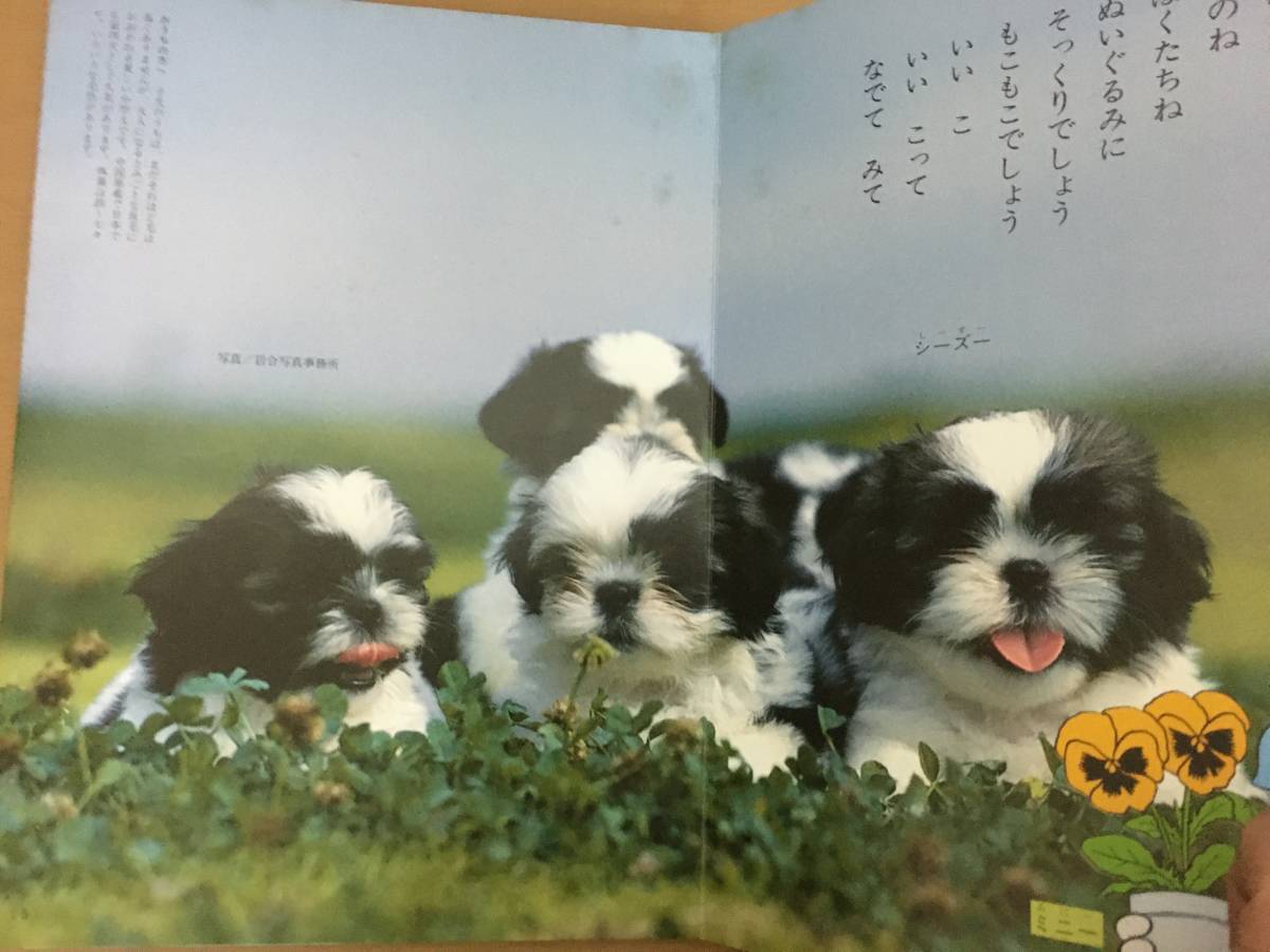 ヤフオク かわいいいぬ ミッキーの幼児絵本1 3歳向 講談社 ヤフオク かわいいいぬ ミッキーの幼児絵本1 3歳向 講談社