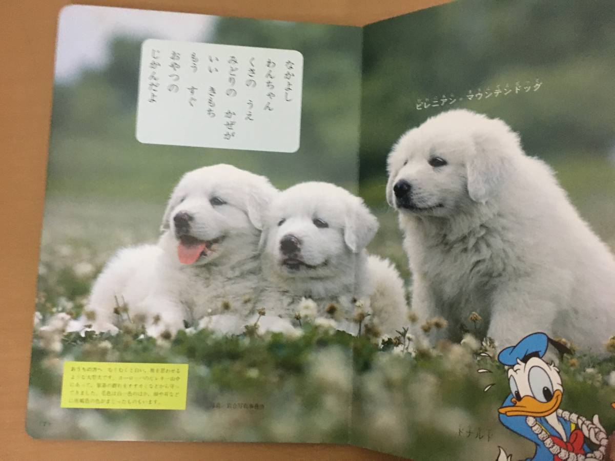 ヤフオク かわいいいぬ ミッキーの幼児絵本1 3歳向 講談社 ヤフオク かわいいいぬ ミッキーの幼児絵本1 3歳向 講談社