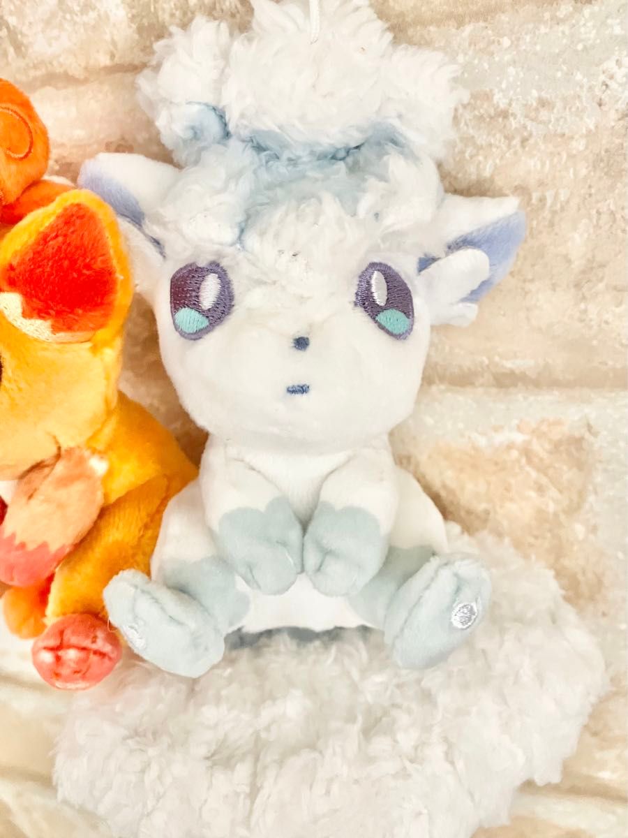 タグ付き ポケモンセンター限定 にたものどうし ロコン タグ付き ポケモンセンター限定 にたものどうし ロコン