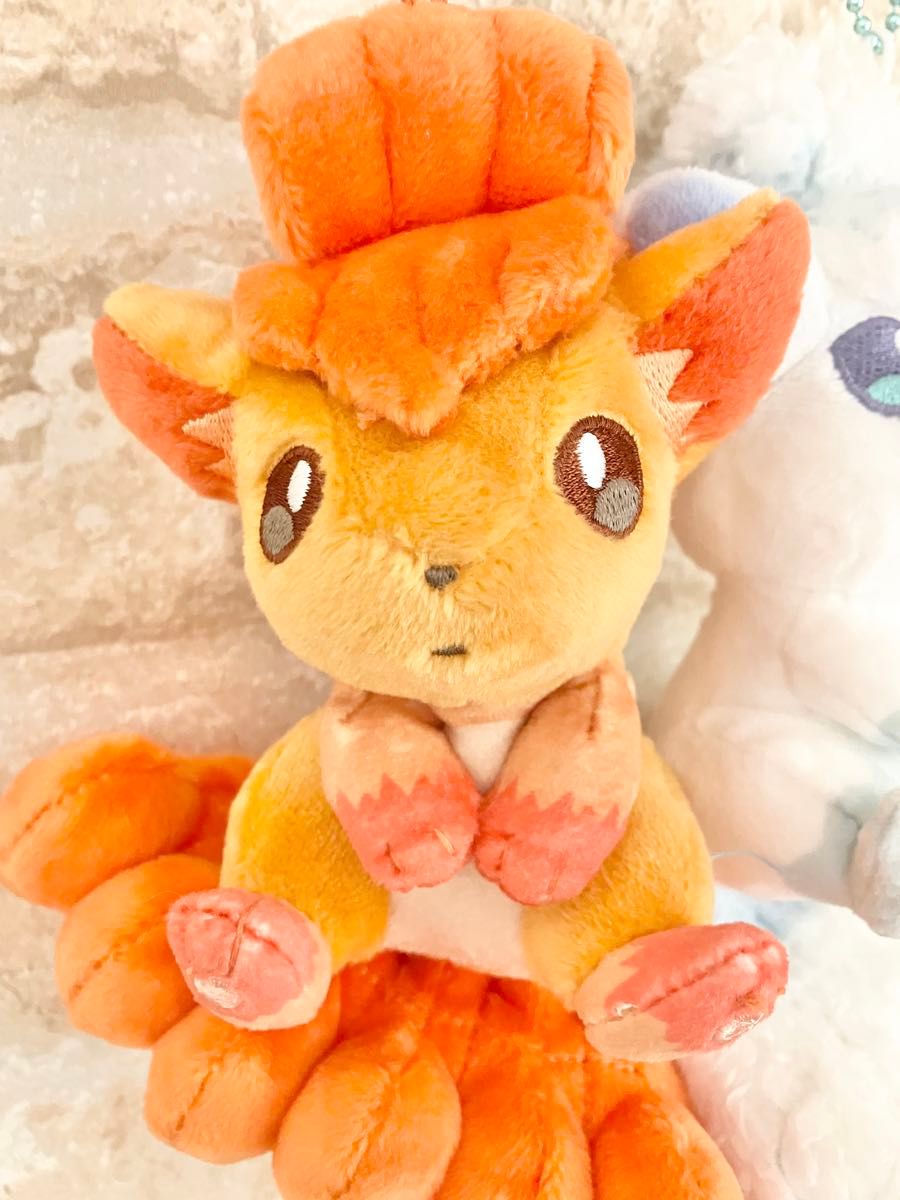 タグ付き ポケモンセンター限定 にたものどうし ロコン タグ付き ポケモンセンター限定 にたものどうし ロコン