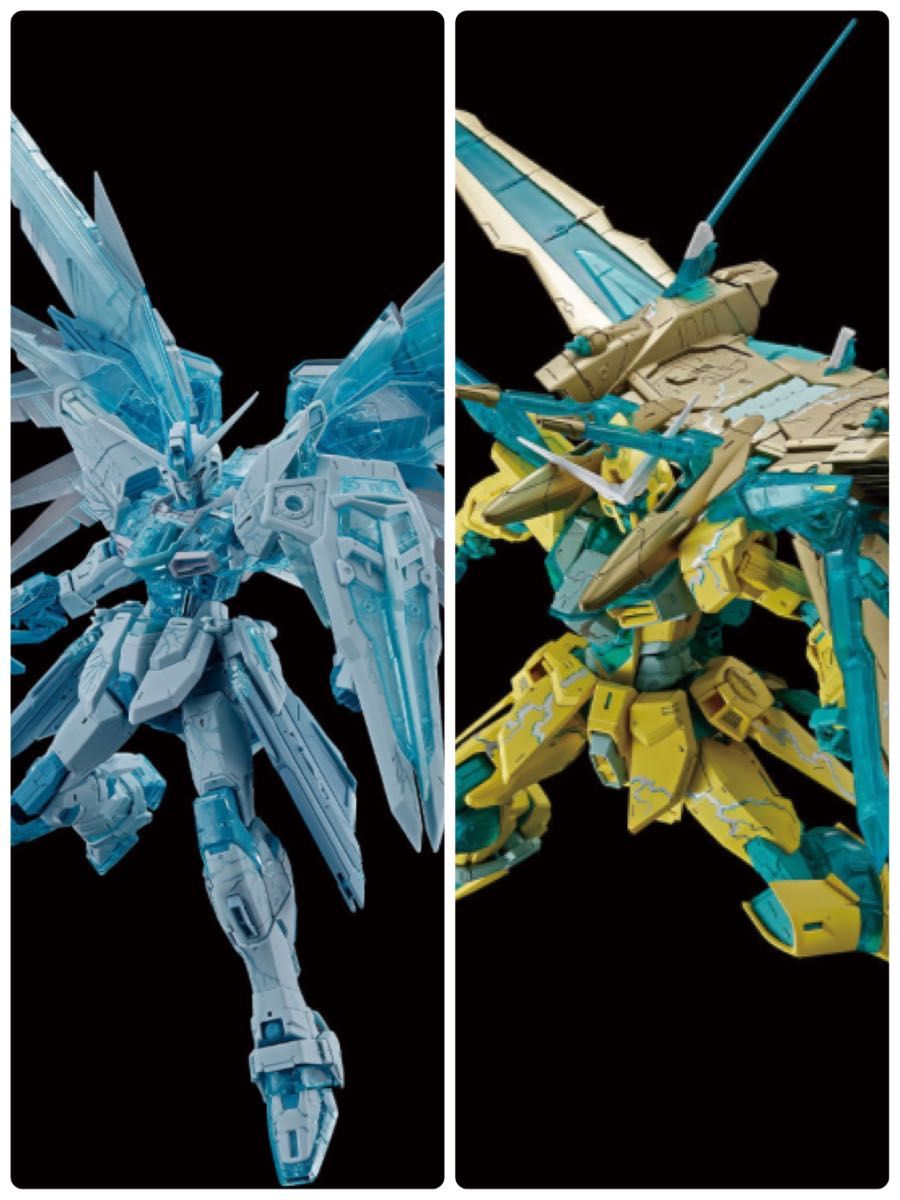 ガンプラ MG フリーダムガンダム ジャスティスガンダム クロス ガンプラ MG フリーダムガンダム ジャスティスガンダム クロス