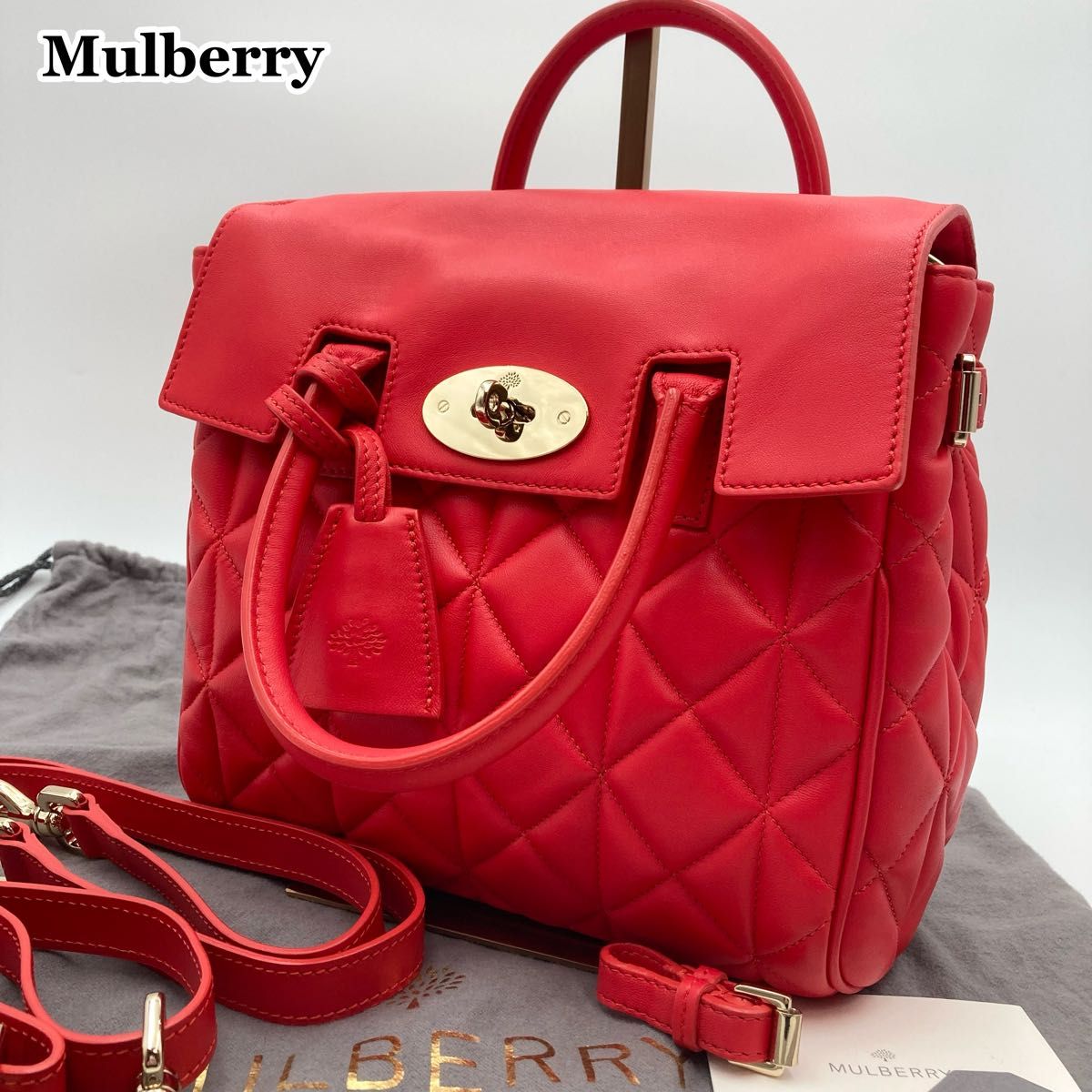 マルベリー カーラ・デルヴィーニュ コラボ レザー 3WAY バッグ マルベリー カーラ・デルヴィーニュ コラボ レザー 3WAY バッグ