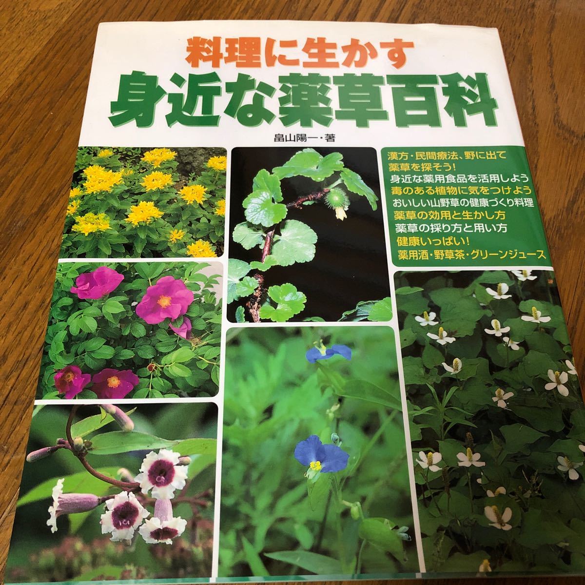 料理に生かす身近な薬草百科