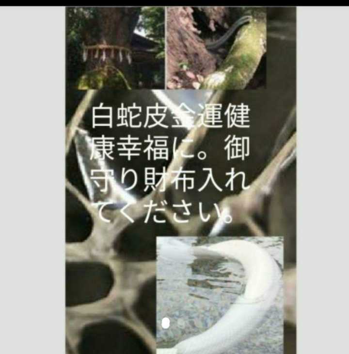 陰陽師の白蛇皮お守り金運仕事恋愛金運祈祷厄払いします。艶美しい触れる波動白蛇皮　ご利益ありますお守り_画像1