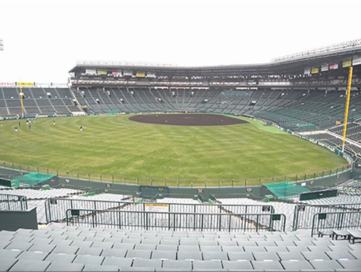 2025/4/11(金) 阪神vs中日 阪神甲子園球場 レフト外野指定席 2025/4/11(金) 阪神vs中日 阪神甲子園球場 レフト外野指定席