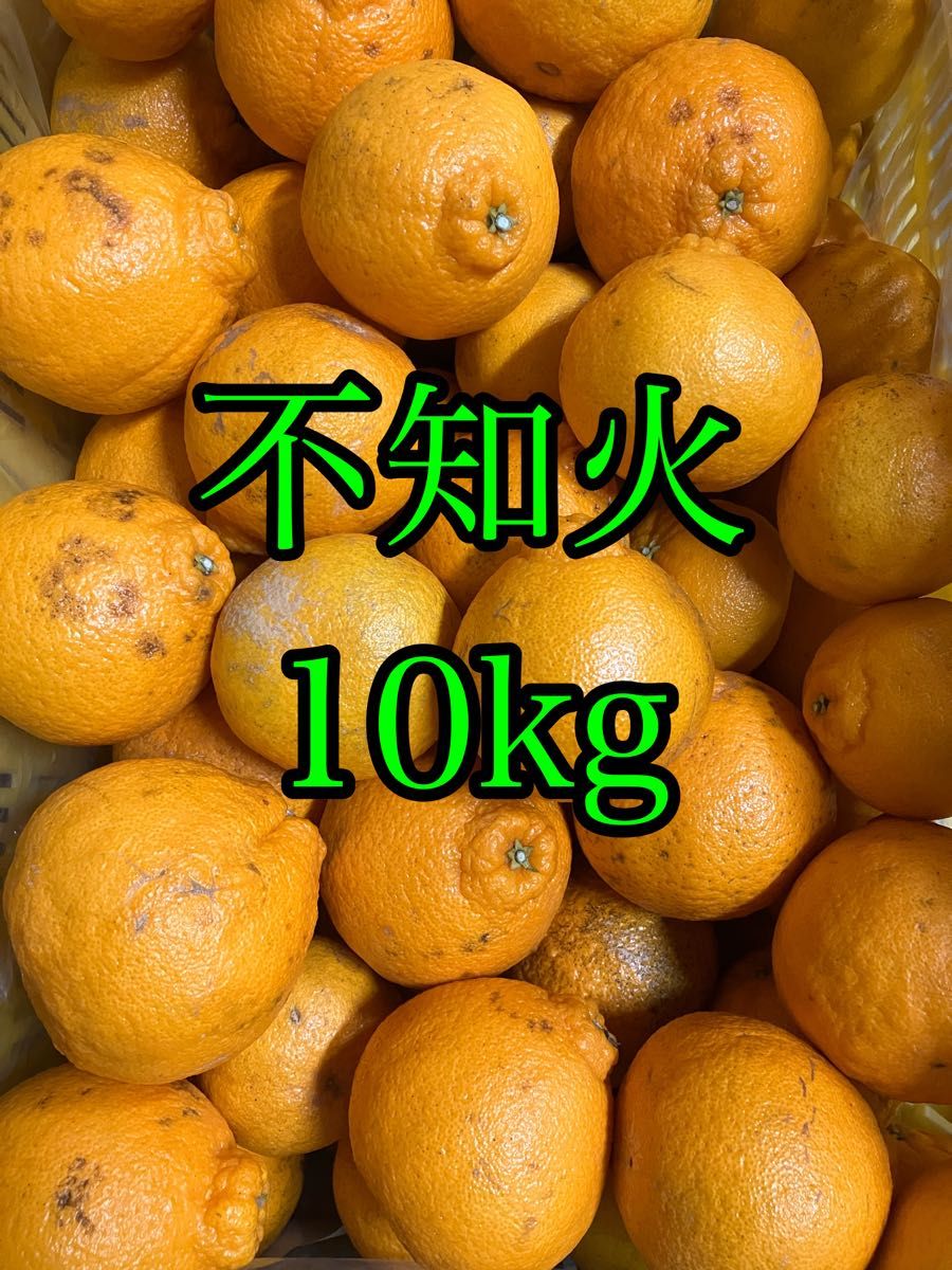 不知火10kg 家庭用|Yahoo!フリマ(旧PayPayフリマ) 不知火10kg 家庭用|Yahoo!フリマ(旧PayPayフリマ)