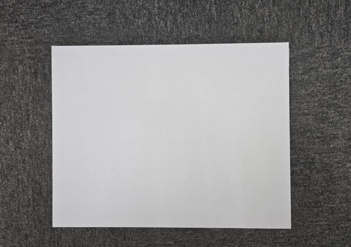 ドラゴンボール 複製原画 完全版コミックス 29巻 表紙絵 ドラゴンボール 複製原画 完全版コミックス 29巻 表紙絵