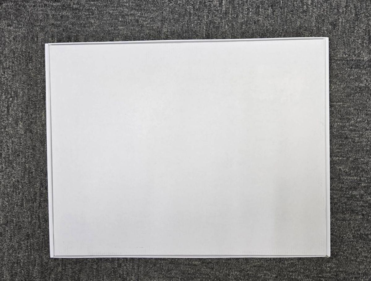 ドラゴンボール 複製原画 完全版コミックス 29巻 表紙絵 ドラゴンボール 複製原画 完全版コミックス 29巻 表紙絵