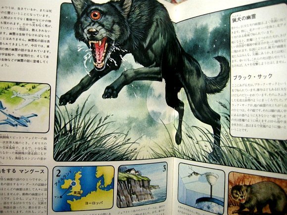 □『謎の世界 幽霊 すべてがわかる楽しい入門書』昭和の児童向け □『謎の世界 幽霊 すべてがわかる楽しい入門書』昭和の児童向け