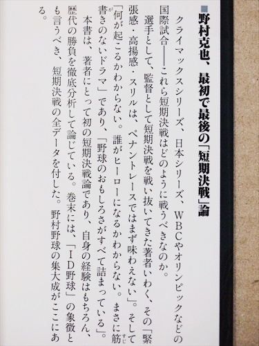 光 の 中 から 現れ た 短期 決戦 の 鬼