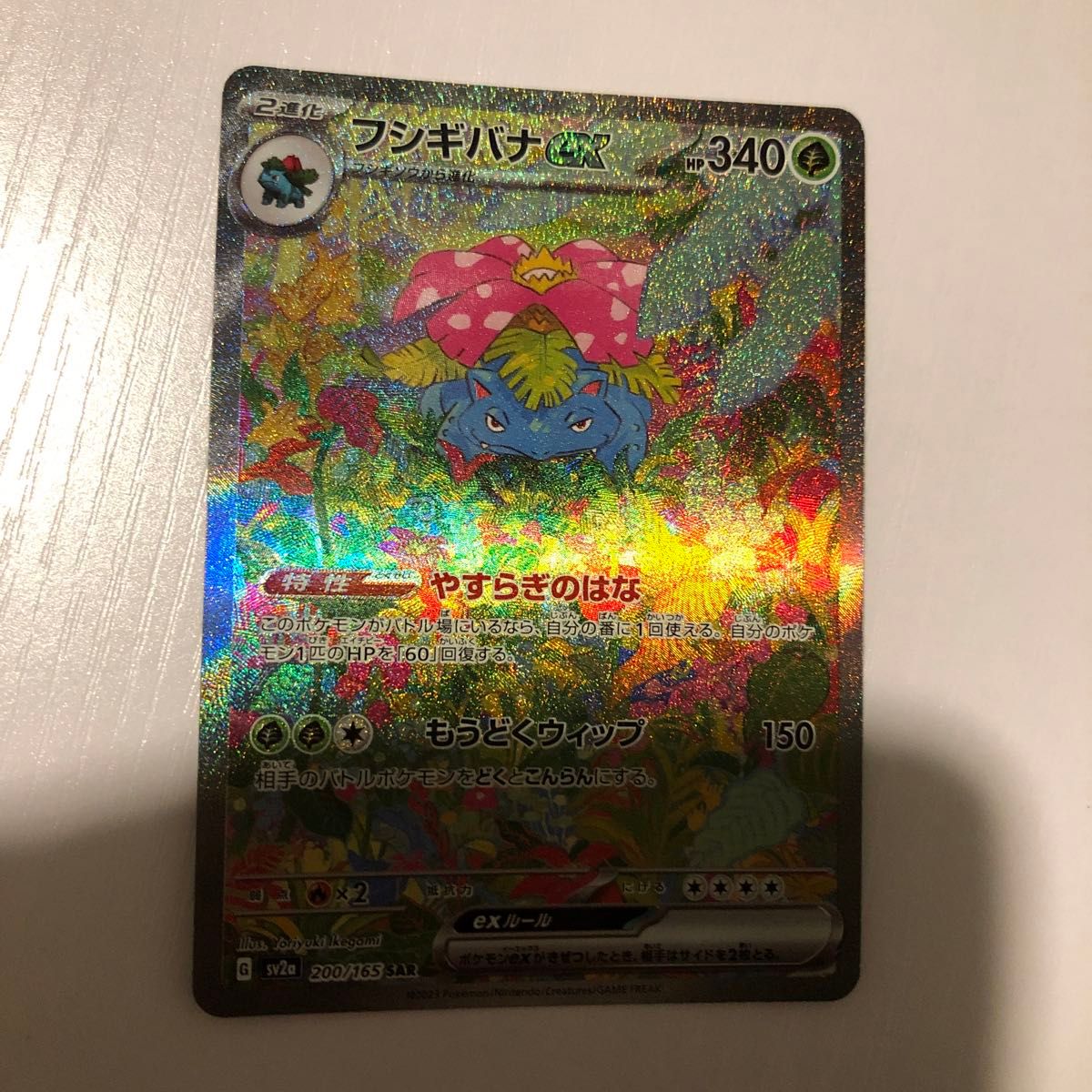 テラスタルフェスex エーフィsar マグネットローダーに入れ発送 マグネットローダー発送】ポケモンカード テラスタルフェスex